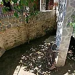 Molino Cuatro Paradas 2*